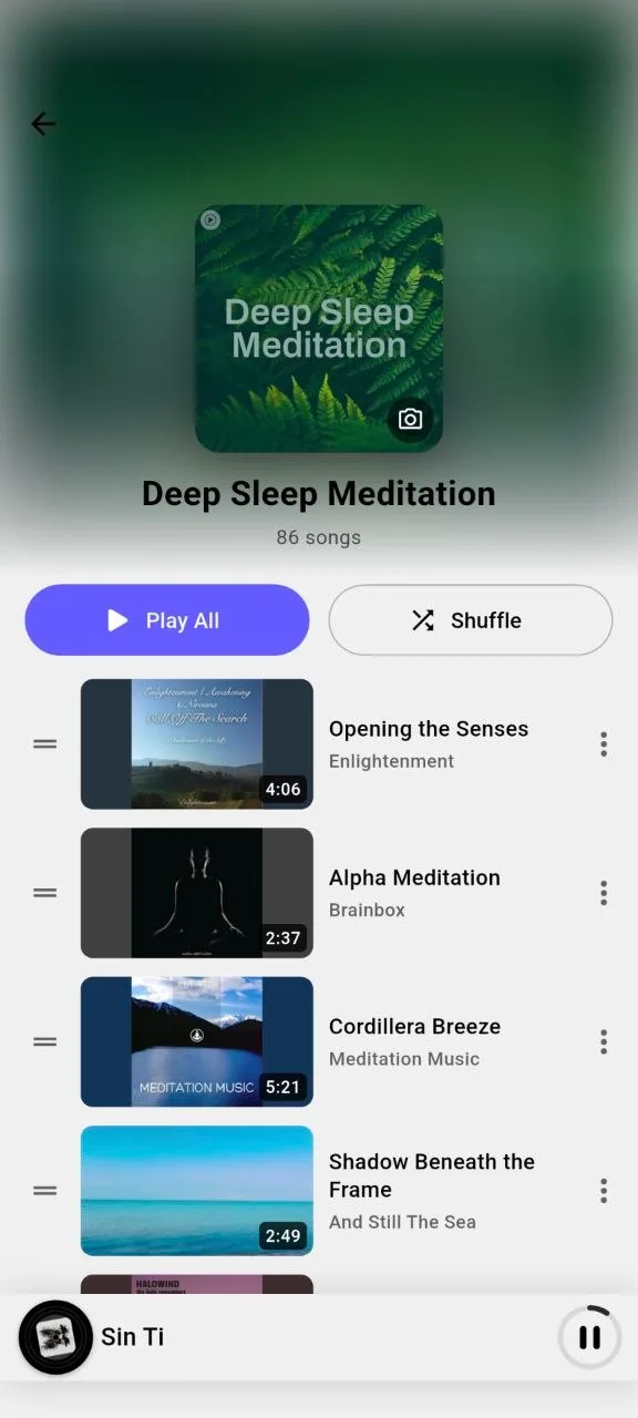 Playlist detail in Ground Music with Play All and Shuffle buttons